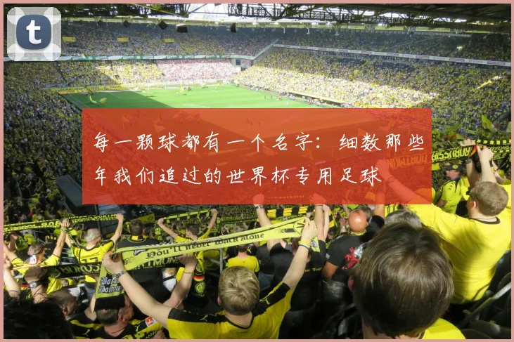 每一颗球都有一个名字：细数那些年我们追过的世界杯专用足球