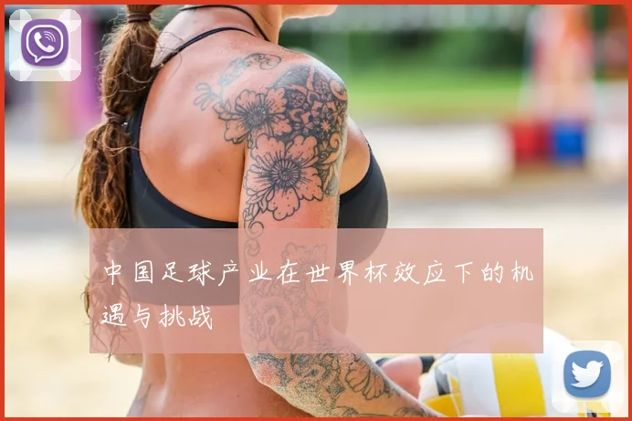 中国足球产业在世界杯效应下的机遇与挑战