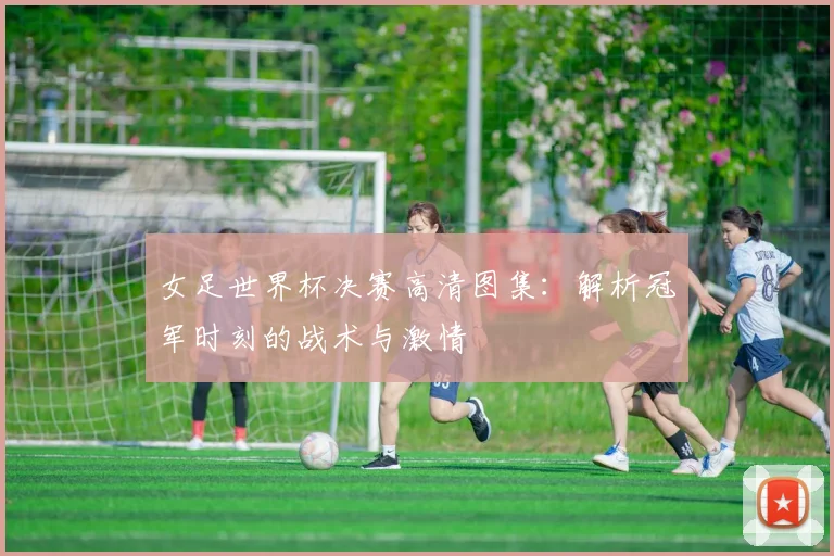 女足世界杯决赛高清图集：解析冠军时刻的战术与激情