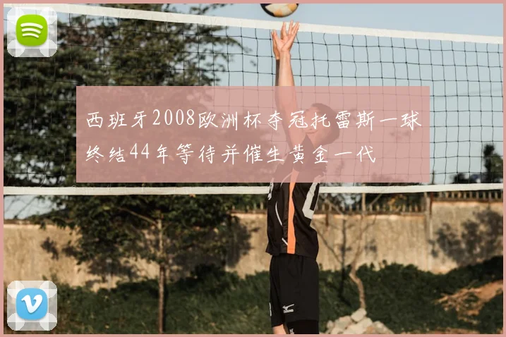 西班牙2008欧洲杯夺冠托雷斯一球终结44年等待并催生黄金一代