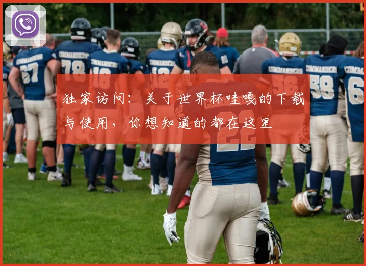 独家访问：关于世界杯哇嘎的下载与使用，你想知道的都在这里