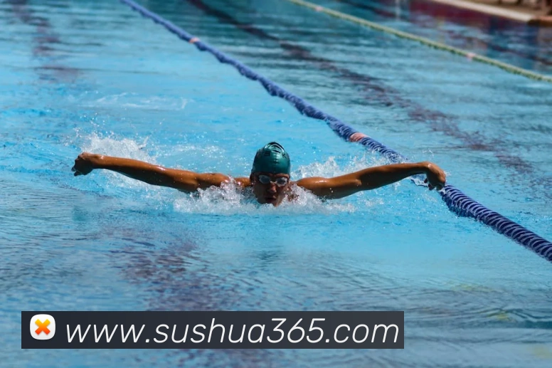 开云手机在线登录官网品牌故事