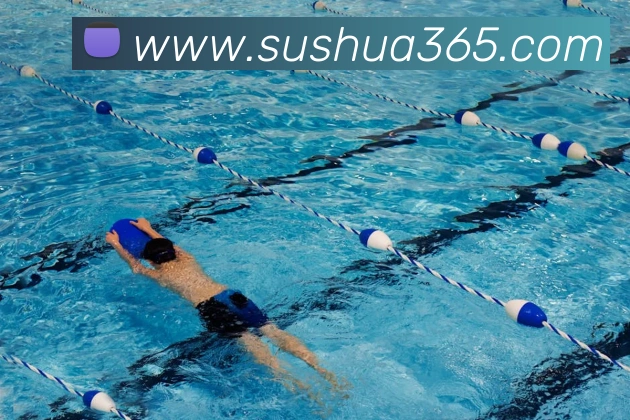 开云手机在线登录官网服务体系